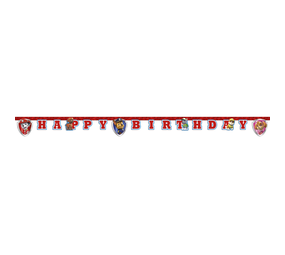 Procos Party Paw Patrol Ready for Action Letterslinger 2mtr | per stuk