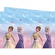 Procos Party Frozen Wind Spirit Tablecloth 120x180cm | per piece