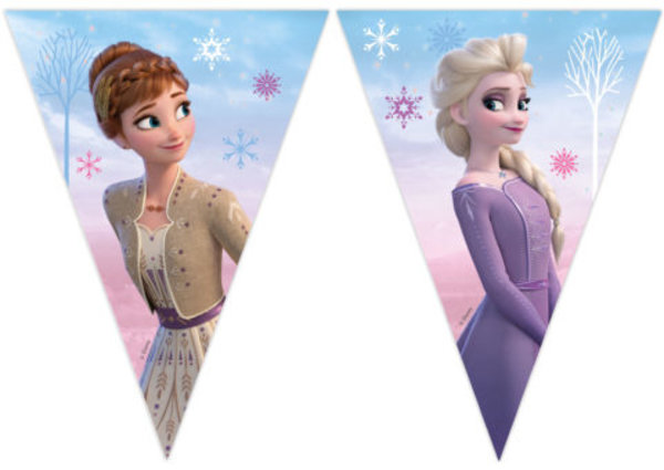 Procos Party Frozen Wind Spirit Flag Garland 2.3 meters | per piece