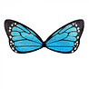Boland Vlinder Set Blauw | per set Boland Vlinder Set Blauw | per set