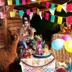 Lama feest Lama feest
