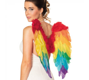 Boland Regenboog Engelen Vleugels 50x50cm | per stuk Boland Regenboog Engelen Vleugels 50x50cm | per stuk