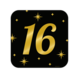 Paper Dreams Door sign 16 years Classy 50x50cm | per piece