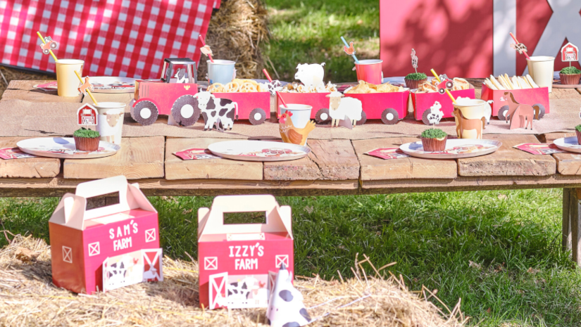 Boerderij Kinderfeestje: onze versiering tips