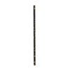 Paper Dreams Black Straws with Gold Stars | 8 pieces