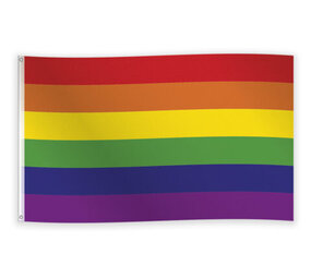 WeFiesta Pride Vlag 90x150cm | per stuk WeFiesta Pride Vlag 90x150cm | per stuk