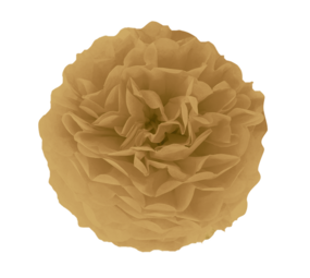 Tuf-Tuf Pompom Gold-Brown 35cm | per piece