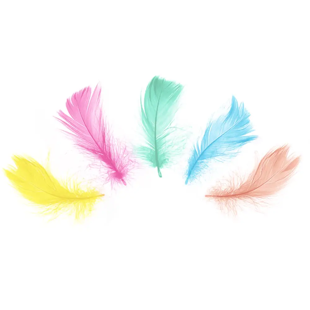 Tuf-Tuf Regenbogenfedern 5–8 cm | 50 Stück