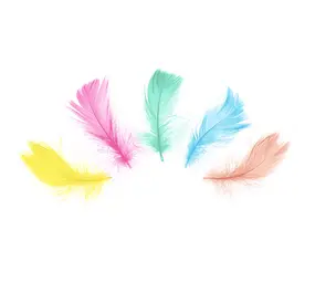 Tuf-Tuf Plumes arc-en-ciel 5-8 cm | 50 pièces