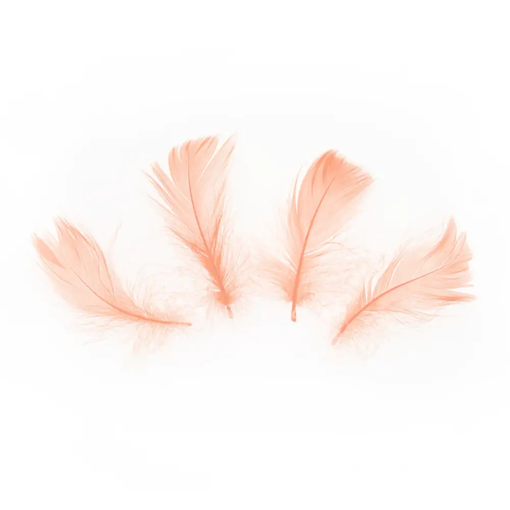 Tuf-Tuf Décoration en plumes de pêcher 5-8 cm | 50 pièces