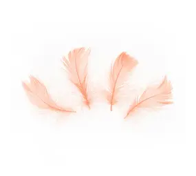 Tuf-Tuf Decoratie Veren Peach 5-8cm | 50 stuks