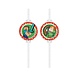 Procos Party Minecraft Straws | 4 pieces
