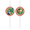 Procos Party Minecraft Straws | 4 pieces