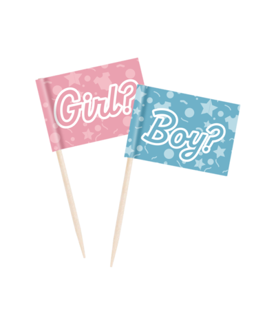 Paper Dreams Gender Reveal Party Picks | 50 pieces