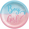 Riethmüller Gender Reveal Borden 23cm | 8 stuks Riethmüller Gender Reveal Borden 23cm | 8 stuks