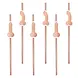 Tuf-Tuf Penis Straws Rose Gold 20cm | 8 pieces