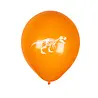 Boland Dino-T-Rex-Luftballons, 25 cm | 6 Stück Boland Dino-T-Rex-Luftballons, 25 cm | 6 Stück