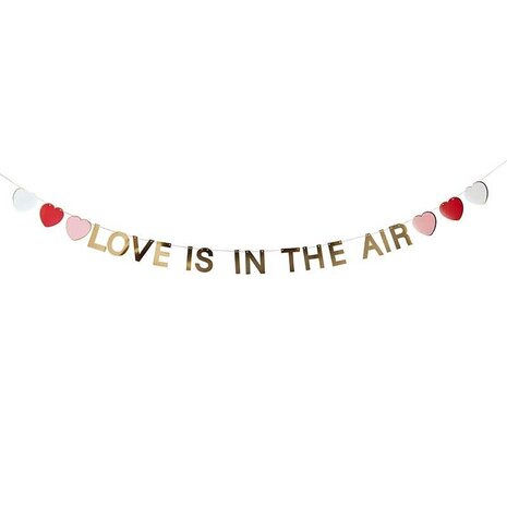 Hootyballoo Guirlande « L'amour est dans l'air » Cœurs 2 m | à l'unité