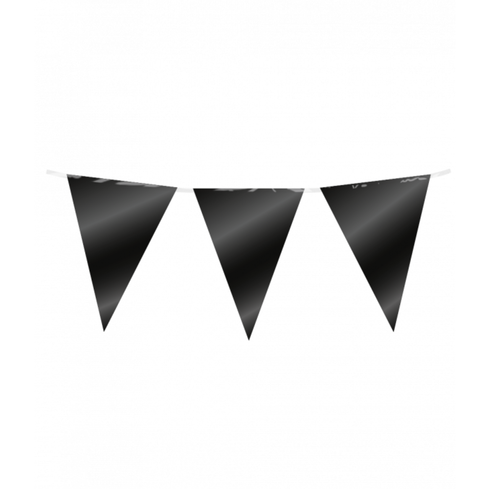 Paper Dreams Ligne de drapeau métallique noir | 10 mètres
