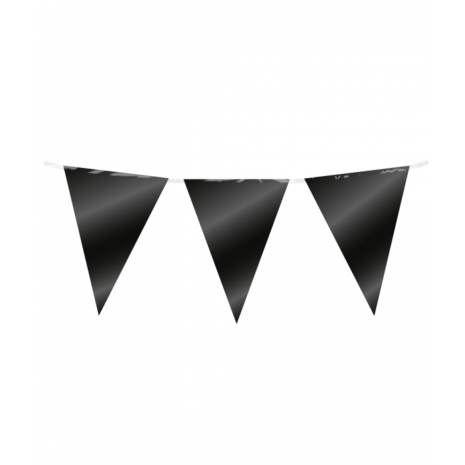 Paper Dreams Ligne de drapeau métallique noir | 10 mètres