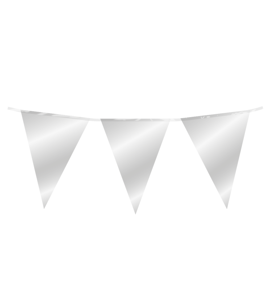Paper Dreams Silver metallic bunting | 10 meters