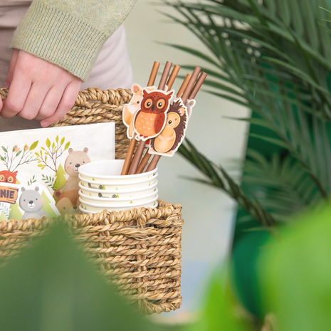 Tuf-Tuf Forest Animals Straws | 6 pieces