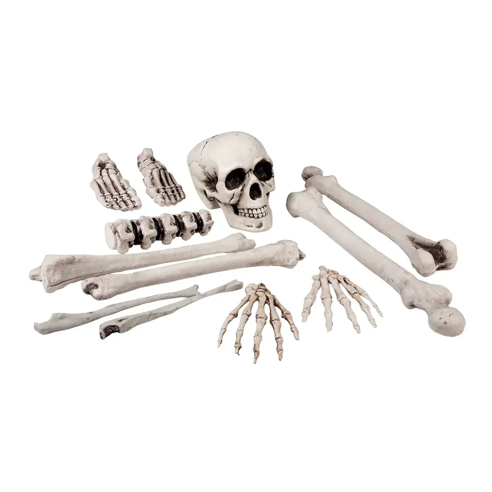 Boland Totenkopf- und Knochen-Set | 12-teilig