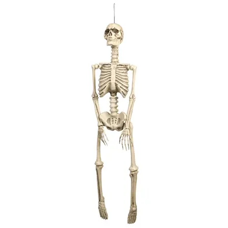 Boland Skeleton Hanging Decoration 92cm | Per Piece