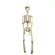 Boland Décoration suspendue squelette 92 cm | À l'unité