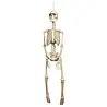 Boland Skeleton Hanging Decoration 92cm | Per Piece Boland Skeleton Hanging Decoration 92cm | Per Piece