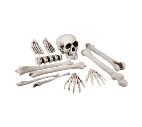 Boland Totenkopf- und Knochen-Set, groß | 12-teilig