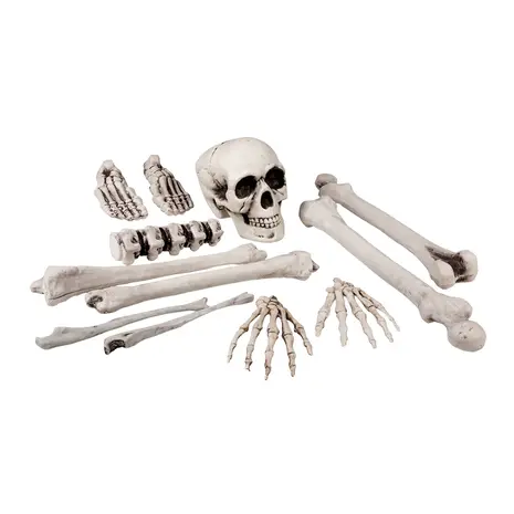 Boland Skull and Bones Set Large | 12-piece