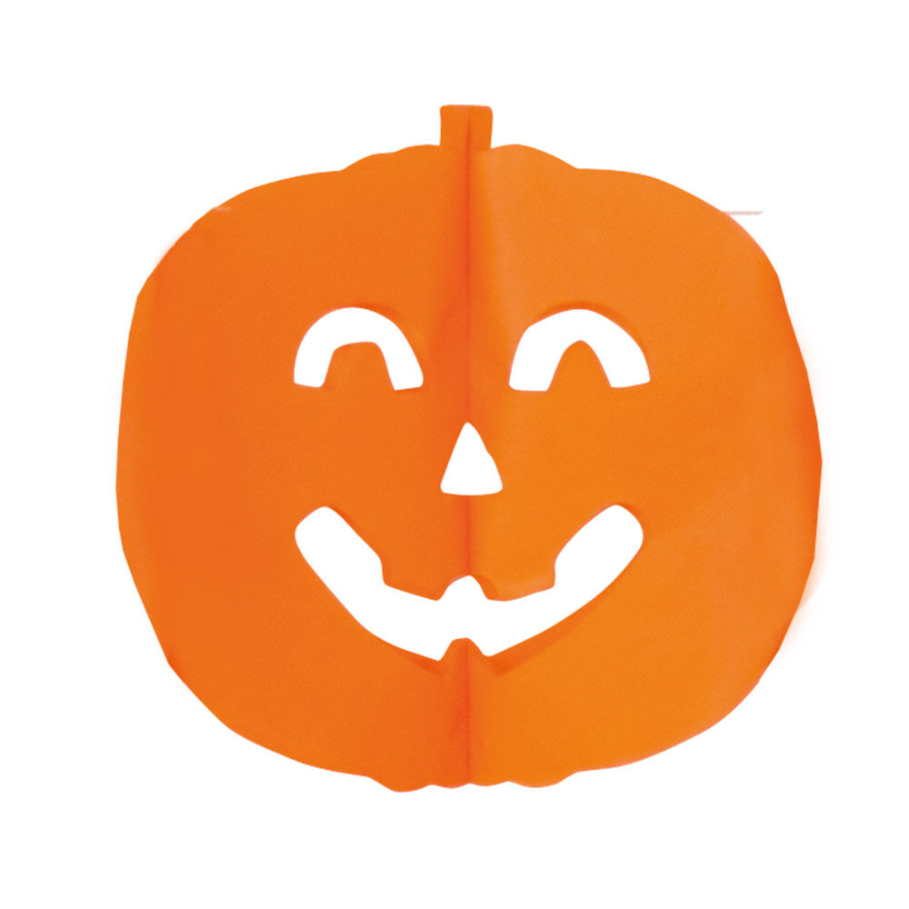 Boland Halloween Pompoen Slinger 4mtr | per stuk Boland Halloween Pompoen Slinger 4mtr | per stuk