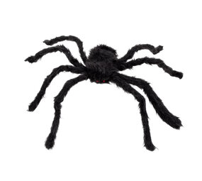 Boland Araignée poilue noire 50x65 cm | à l'unité