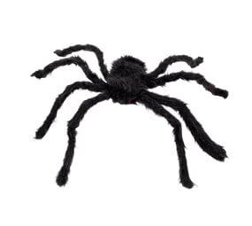 Boland Harige Spin Zwart 50x65 cm | per stuk Boland Harige Spin Zwart 50x65 cm | per stuk