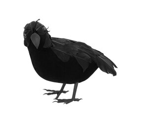 Boland Schwarze Krähe 23x10cm | pro Stück Boland Schwarze Krähe 23x10cm | pro Stück