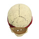 Boland Crinson Pirate Mask Halloween Latex