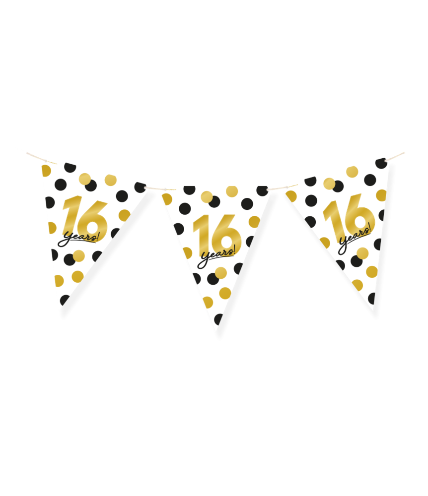 Paper Dreams Vlaggenlijn 16 jaar Celebration! | 6 mtr Paper Dreams Vlaggenlijn 16 jaar Celebration! | 6 mtr