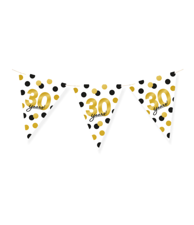 Paper Dreams Wimpelkette zum 30-jährigen Jubiläum! | 6 m