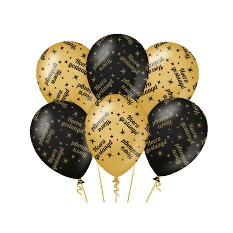 Paper Dreams Ballonnen Geslaagd Classy 30cm | 6 stuks