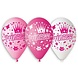Procos Party Ballons Princesse 28 cm | 5 pièces