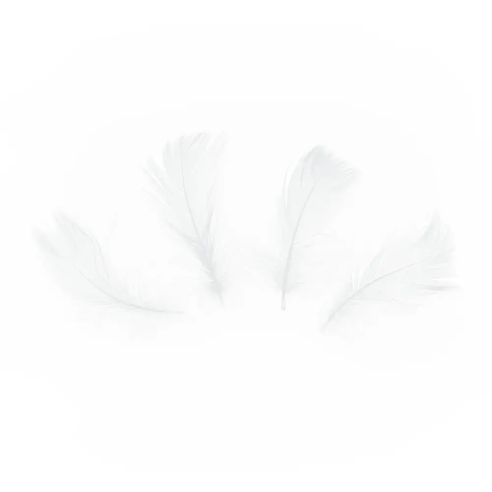 Tuf-Tuf White Decorative Feathers 5-8cm | 50 pieces