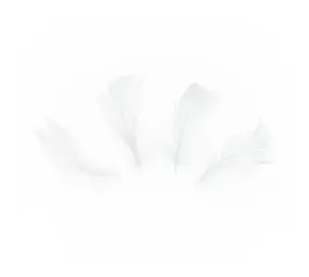 Tuf-Tuf White Decorative Feathers 5-8cm | 50 pieces