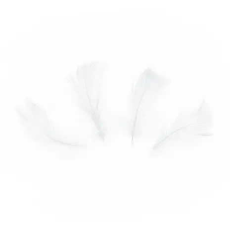 Tuf-Tuf White Decorative Feathers 5-8cm | 50 pieces