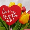 Godan "Love is in the air" Heart pick 10x30cm | per piece Godan "Love is in the air" Heart pick 10x30cm | per piece