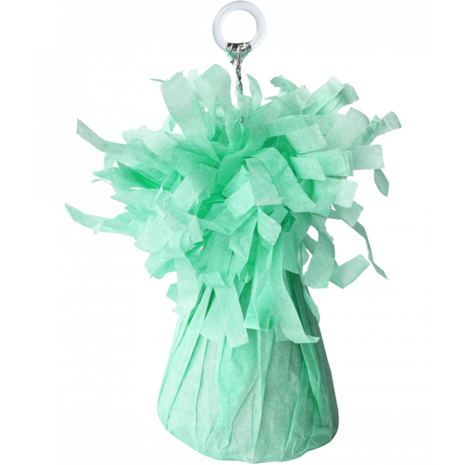 Paper Dreams Ballongewicht Pastel Groen 160gram | per stuk Paper Dreams Ballongewicht Pastel Groen 160gram | per stuk
