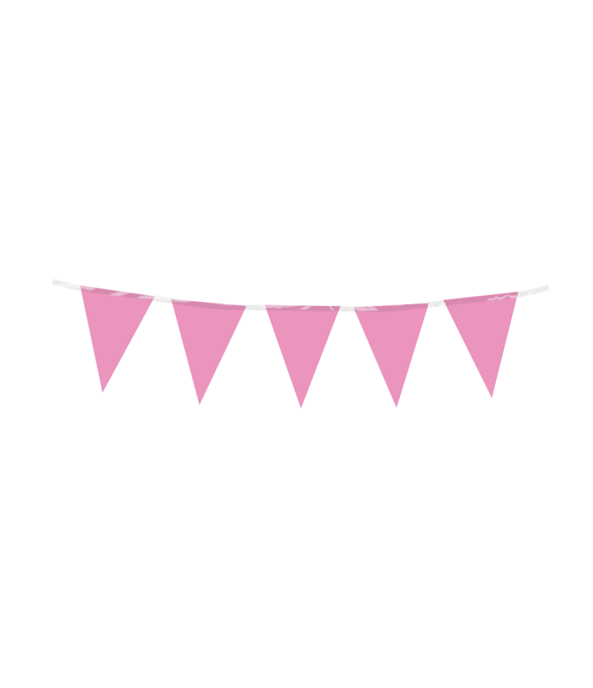 Paper Dreams Mini Flag Garland Fuchsia 15x300cm | per piece