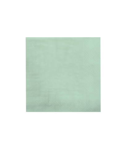 Paper Dreams Servetten Groen Pastel 33x33cm | 8 stuks Paper Dreams Servetten Groen Pastel 33x33cm | 8 stuks