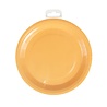 Paper Dreams Orange Pastel Plates 23cm | 8 pieces Paper Dreams Orange Pastel Plates 23cm | 8 pieces