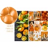 Folat Orangefarbene Metallic-Luftballons, 33 cm | 10 Stück Folat Orangefarbene Metallic-Luftballons, 33 cm | 10 Stück